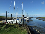 Marschland bei St. Peter-Ording